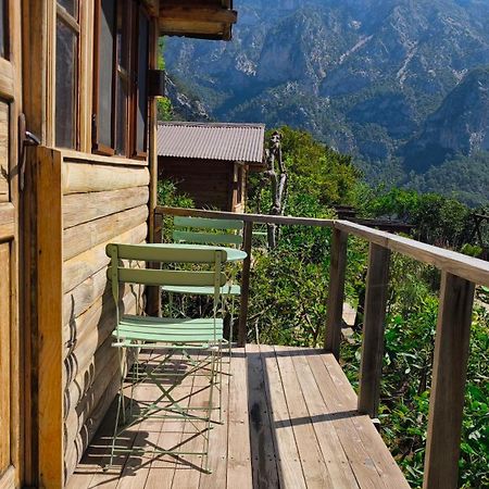 Olive Garden Kabak Hotel Faralya Bagian luar foto