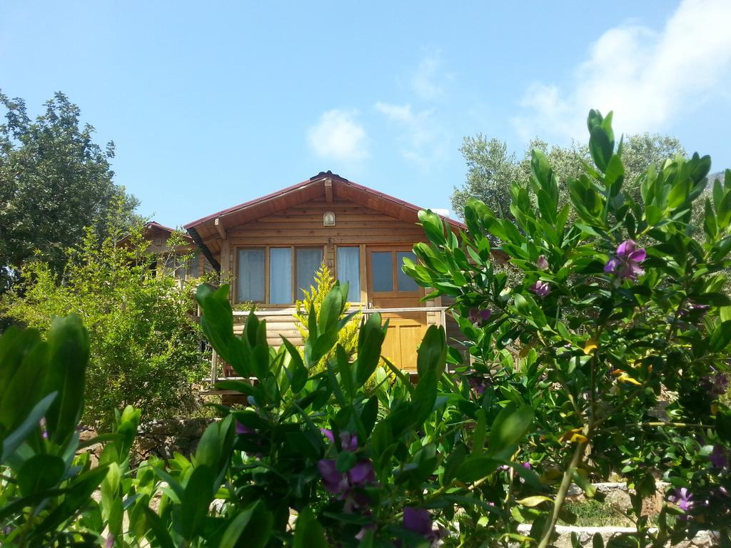 Olive Garden Kabak Hotel Faralya Bagian luar foto