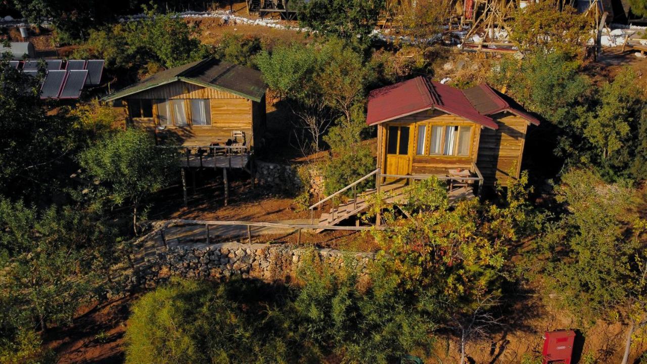 Olive Garden Kabak Hotel Faralya Bagian luar foto