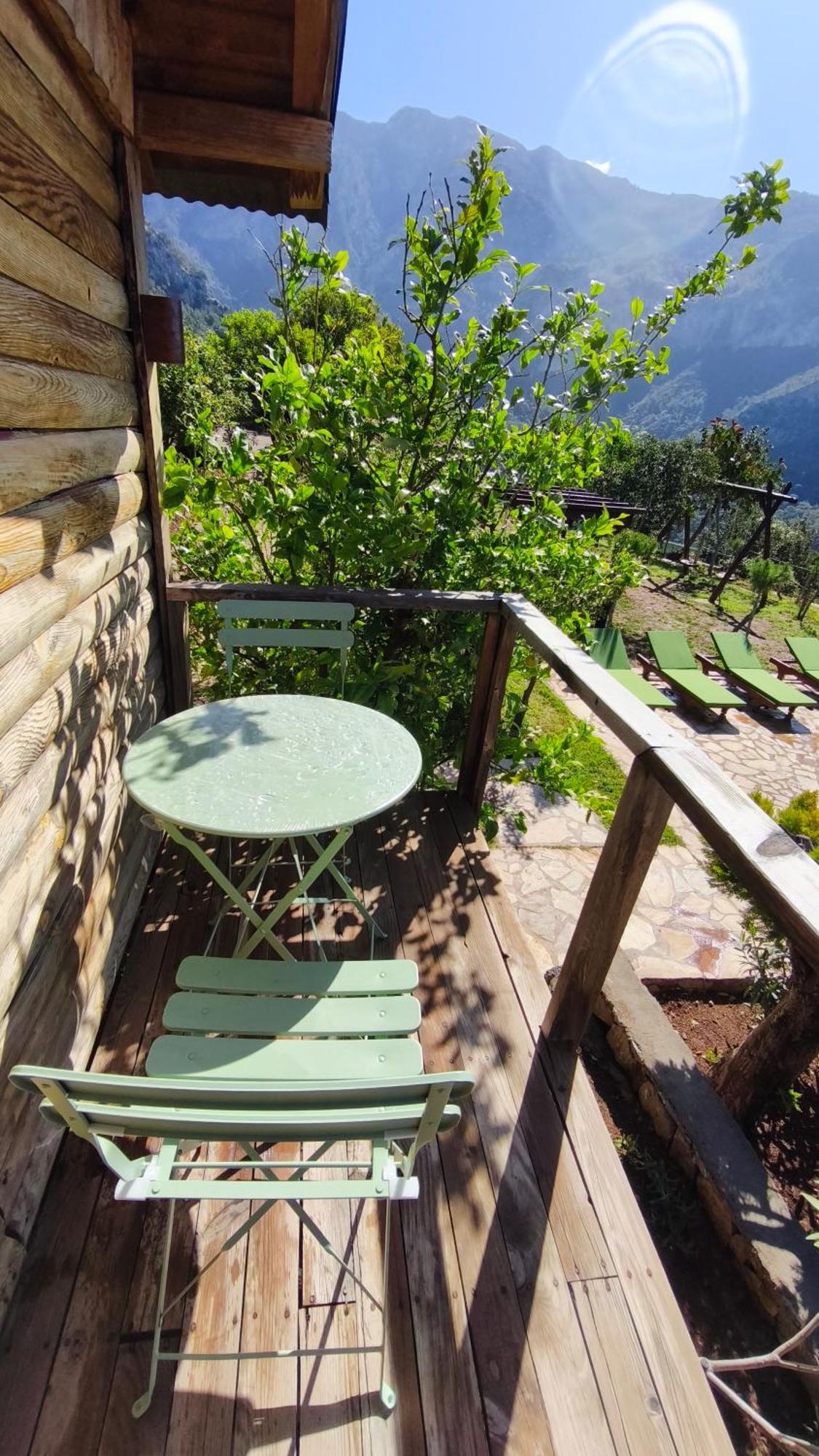 Olive Garden Kabak Hotel Faralya Bagian luar foto