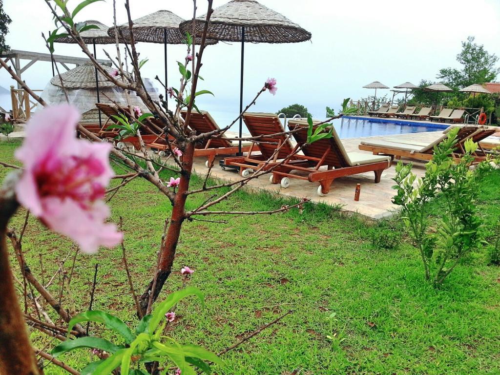 Olive Garden Kabak Hotel Faralya Bagian luar foto