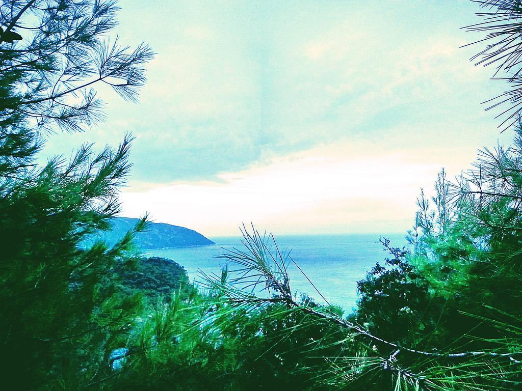 Olive Garden Kabak Hotel Faralya Bagian luar foto
