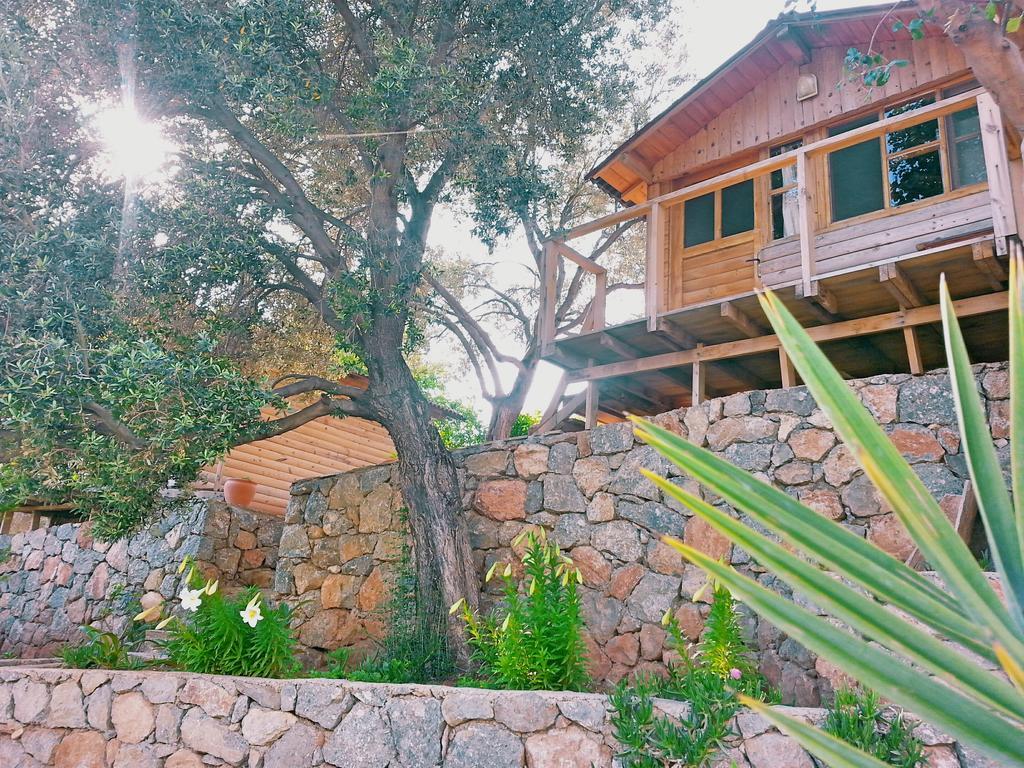 Olive Garden Kabak Hotel Faralya Bagian luar foto