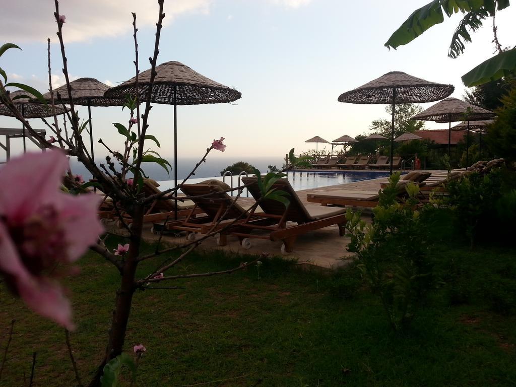 Olive Garden Kabak Hotel Faralya Bagian luar foto
