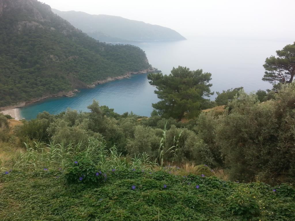 Olive Garden Kabak Hotel Faralya Bagian luar foto