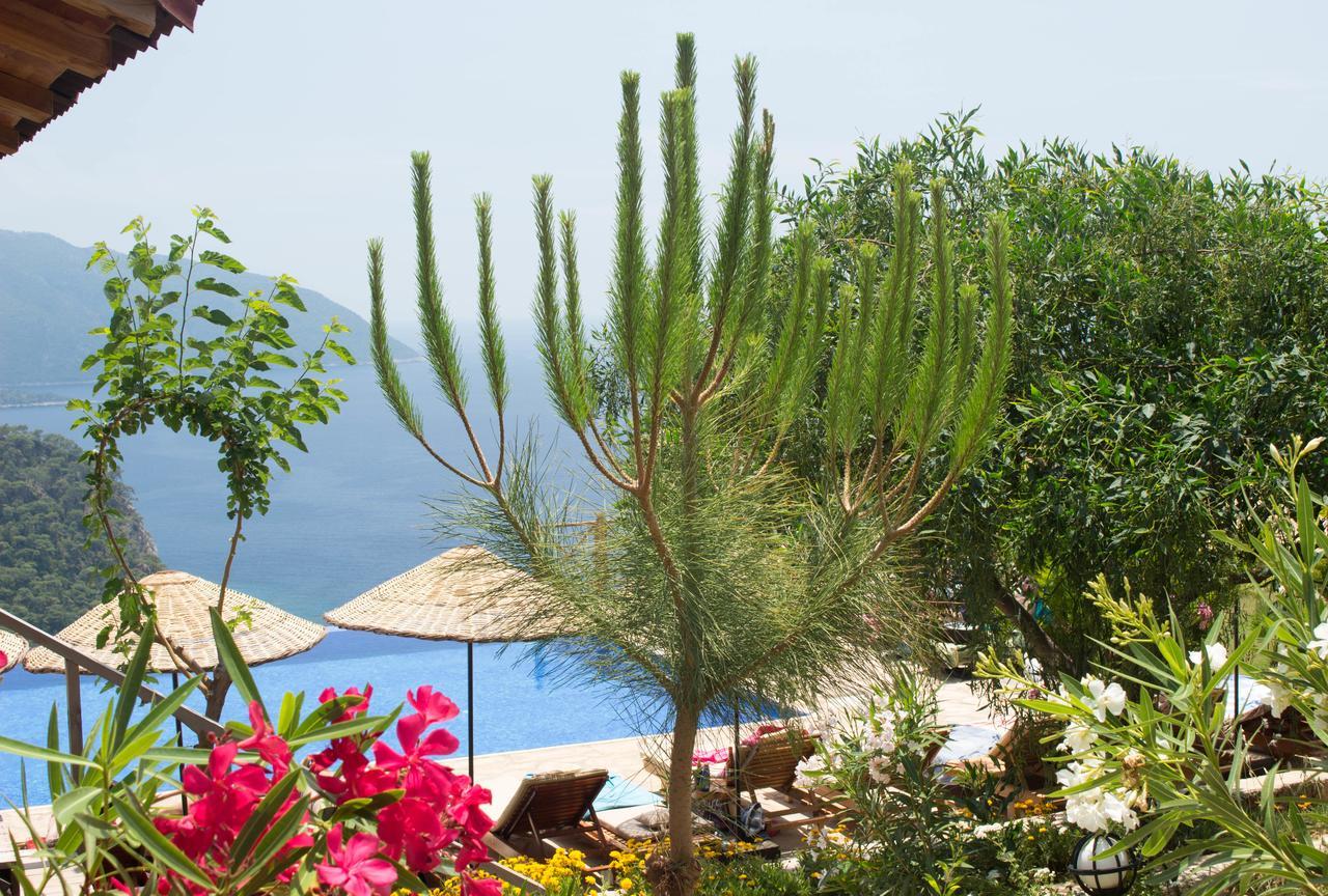 Olive Garden Kabak Hotel Faralya Bagian luar foto